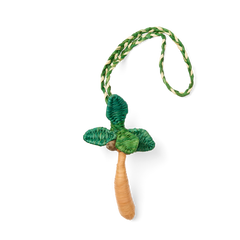 Bogg'd & Charmed  - Raffia Palm
